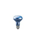 Lampe pousse-plante Paulmann R80 60W E27