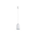 Lampe pousse-plante Paulmann R95 75W Blanc