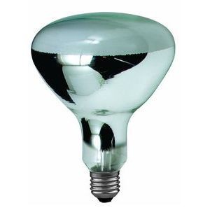 Ampoule Paulmann HQL Professionnal D125 80W E27 240V - Paulmann - 50380