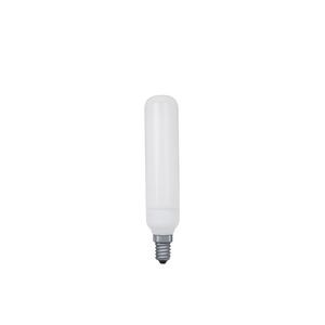 Tube fluorescent Paulmann blanc chaud 10W E14