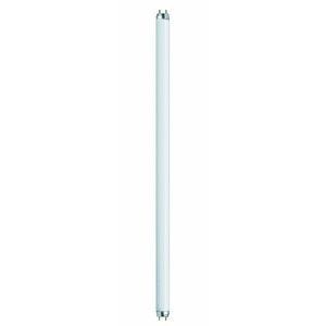 Tube fluorescent Paulmann blanc G13 590mm - Paulmann - 88517