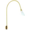 Luminaire Paulmann Galeria Color 2x20W laiton mat
