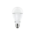 Ampoule LED Paulmann standard Quality 10W E27 blc chd