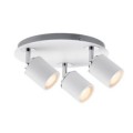 Plafonnier Paulmann tube ip44 3x3,5w gu10 blanc/chrome 230v métal