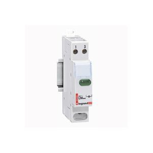 Voyants - 250 v~