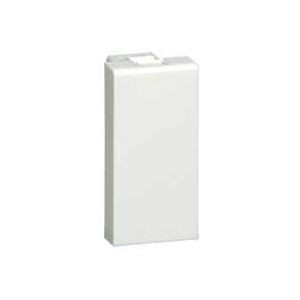 1 module