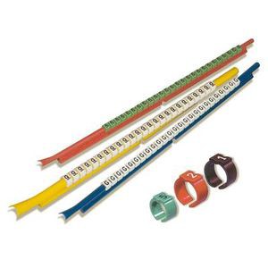 Cavaliers plio-snap+