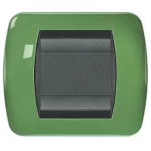 Plaques bticino living métal peinture métalisée vert amande
