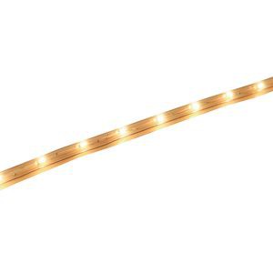 Galon incandescent(e)