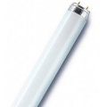 Tube Fluorescent BIOLUX Osram Ledvance T8 18 W – 6500 K – 950 lm – G13