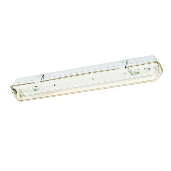 Diffuseur réglette étanche DEP 218 C - 2x18 W polycarbonate - SFN
