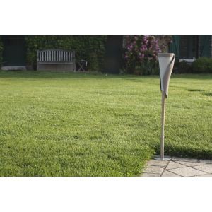 Rosa solaire court 70cm
