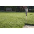 Rosa solaire court 70cm