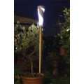 Volubilis solaire haut 130cm