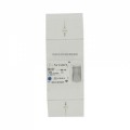 Disjoncteur de branchement EDF Actaris Itron différentiel 500mA instantané 2P 60A 
