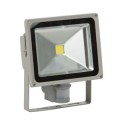 Proj. Led A Detecteur 30w - PLD30