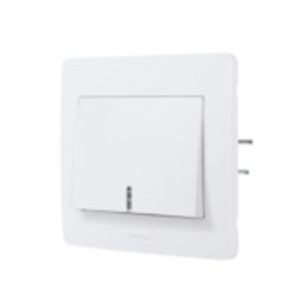 Poussoir avec voyant blanc Debflex Diam2