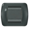 Plaque  Gris anthracite - 2 modules