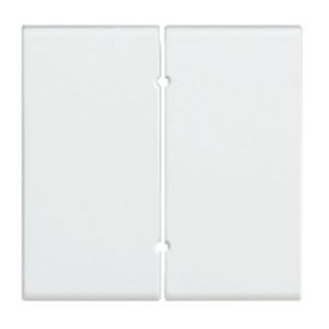 2 Manettes poussoir ou bascule 1 module pour commande L4572 ou L4572PI Light
