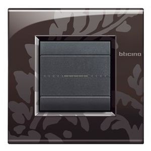 Plaque Ramage Living Light Bticino Air 2 modules