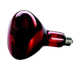 IR PAR38 175W