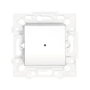 Interrupteur témoin 10A - Lumière
