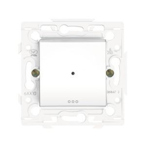 Interrupteur temporisé Arnould 300w - 2 fils (sans neutre) - Lumière