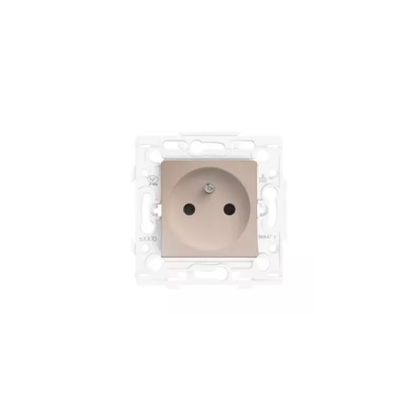 Prise Electrique Arnould Espace 62431 (Cocoon 2P+T) - Couleur Doré Champagne - Unitaire, Neuf
