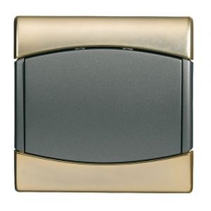 Plaque simple - Or / Moka