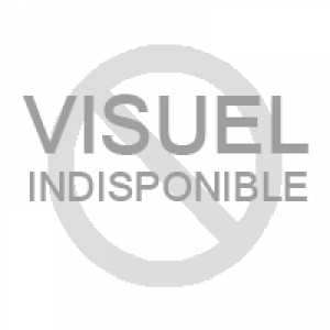 Bouton Poussoir Arnould Europa Trianon – Occasion Fonctionnel