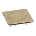 Arnould Platinum platine de sol 1 poste carrée à équiper IP44 IK08 doré brossé