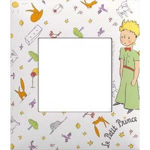 Arnould Espace Evolution - Plaque 1 poste collection le petit prince - semi