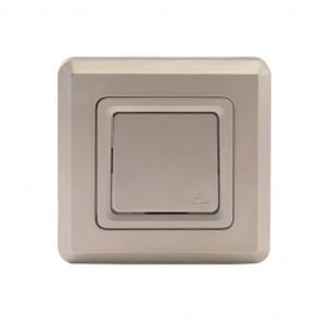 Poussoir 6A - IP55-10 (mécanisme + plaque)
