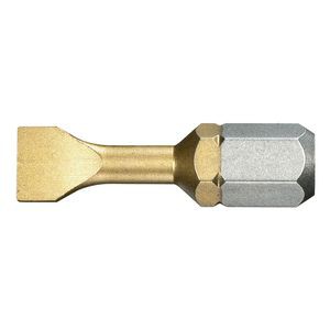 Embout de vissage titane pour vis à fente (1 x 5,5)