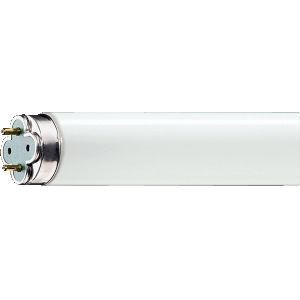 MASTER TL-D Xtreme 36W/840 - Philips - 558688