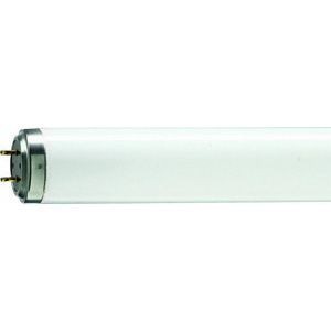 Tl 60w/10-r