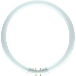 Master tl5 circular 22w/827 1ct/10