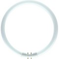 Master tl5 circular 22w/827 1ct/10