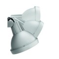 Rosebud gardenspot/floodlight grey 1x20