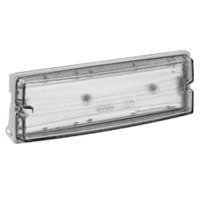 BAES évacuation étanche verre métal SATI évolutif - IP 66 - IK 04