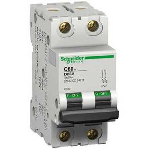 Schneider Electric Disjoncteur Modulaire Multi 9 - C60L - 2 Pôles - 40 A - Courbe B - Schneider Electric - 25363