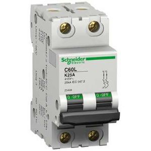 Schneider Electric Disjoncteur Modulaire Multi 9 - C60L - 2 Pôles - 40 A - Courbe K - Schneider Electric - 25490