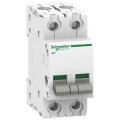 Acti9, iSW interrupteur-sectionneur 2P 63A 415V - Schneider Electric - A9S60263