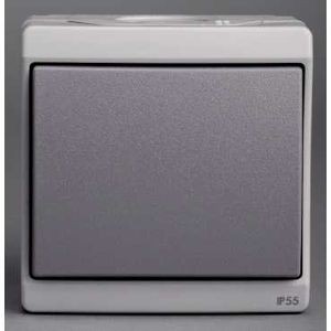 BP gris
