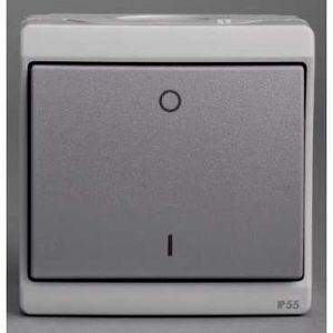 Interrupteur bipolaire gris