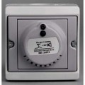 Detecteur temperature gris