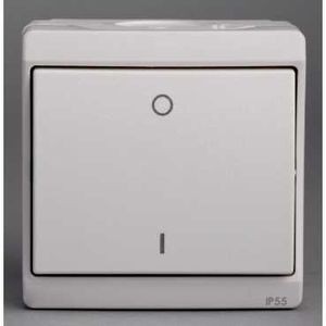 Interrupteur bipolaire blanc