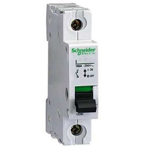 Inter 1p 100a 250v - Schneider Electric - 15090