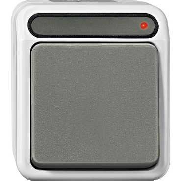 Aqs - Bouton Poussoir Gri S
