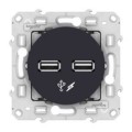 Schneider Odace - Chargeur Double Usb - Anthracite